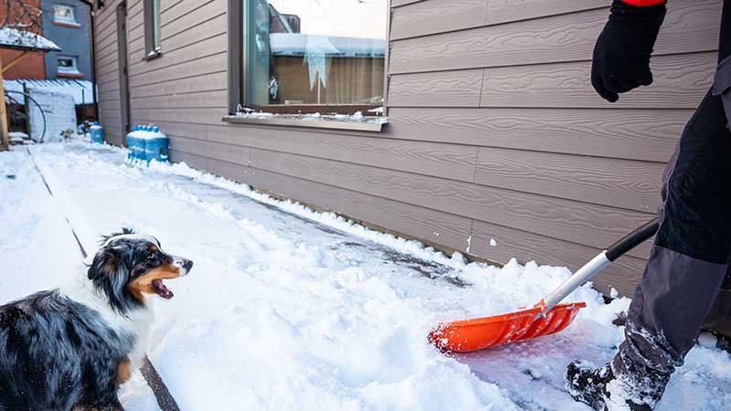 Mann med hund måker snø langs husveggen